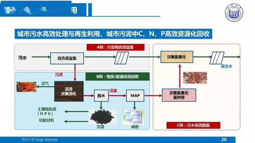 物聯網技術服務賦能污水廠 戴曉虎關于提質增效與污泥處理處置的技術方向思考